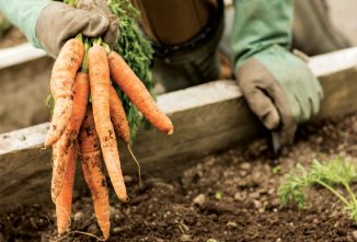 Safety in the Garden